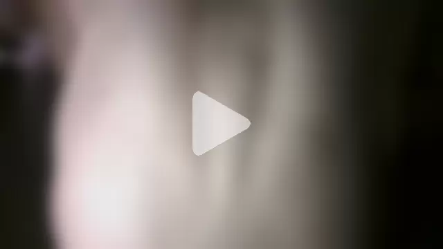 Majestic-Class photo 10