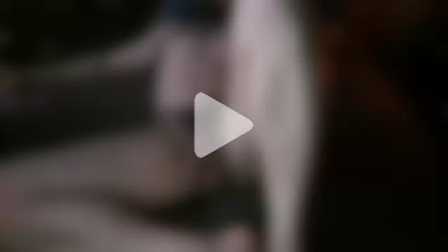 Majestic-Class photo 22