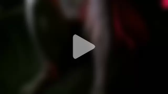 Majestic-Class photo 11