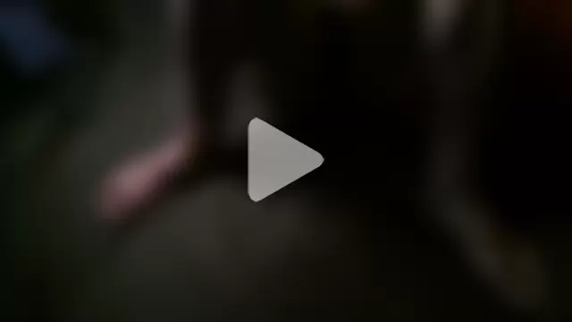 Majestic-Class photo 4