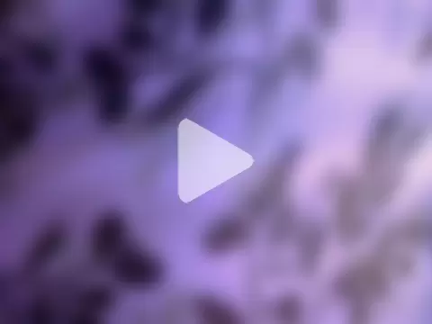 Malnad_beauty photo 28