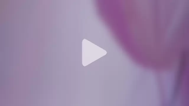 Malory__Jones photo 18