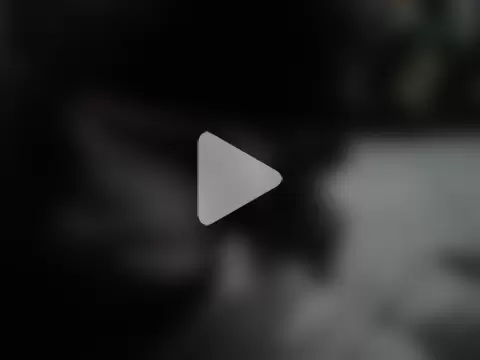 Mambojambo-66 photo 9