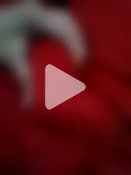 Manlikedaddy photo 1