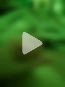 Marcello8723 photo 5