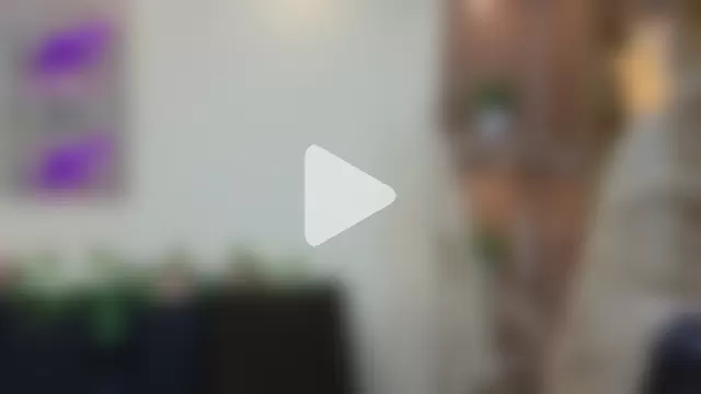 Mary_rabbit photo 10