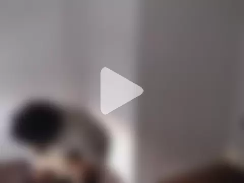 Mastertopdome photo 12