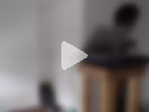 Mastertopdome photo 9