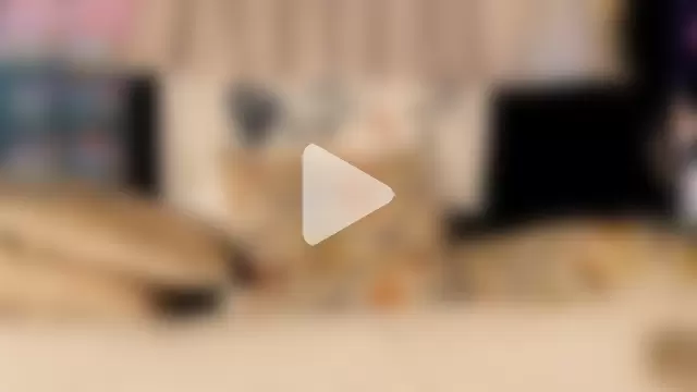 Mathew_stardust photo 12