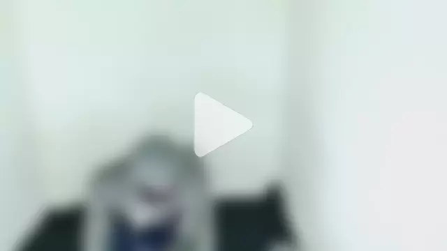 Max_morning_star photo 17