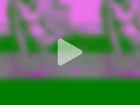 Meenakshi100 photo 5