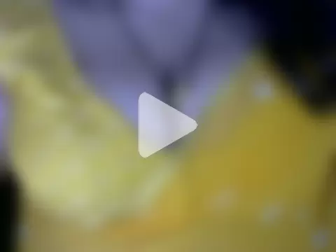 Mehar_Kaur_13 photo 18