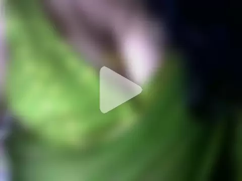 Mehar_Kaur_13 photo 16