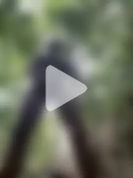 Melaneighted photo 7