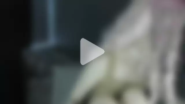 MelissaReis photo 16