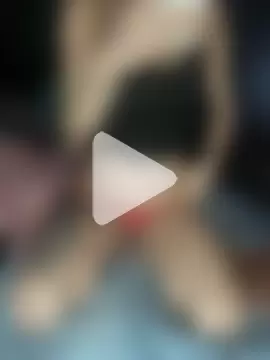 MelissaSchneider photo 3