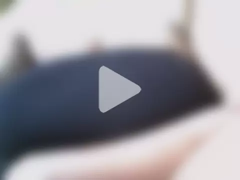 Meliza-queen photo 21