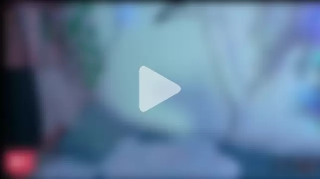 Meow_cat4 photo 14