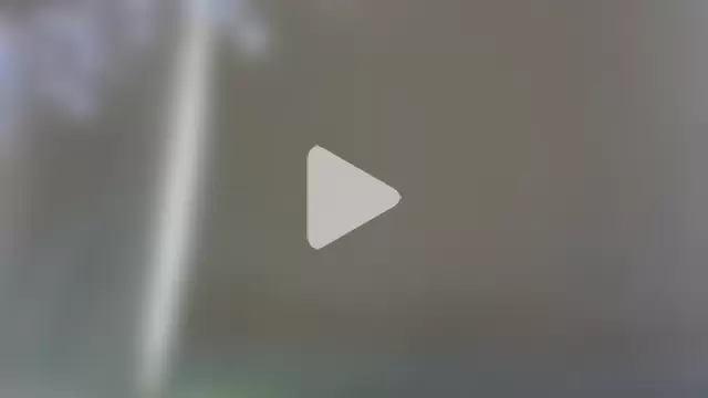 Mermaid-hana photo 16