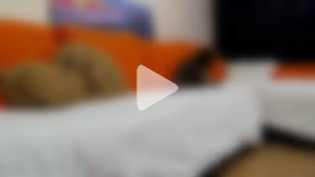 MichaelWills photo 3