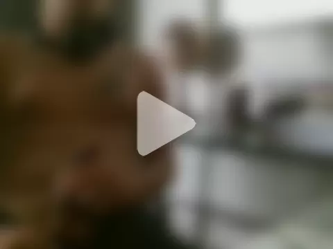 Michel22151gw photo 22