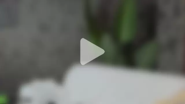 Michelle_Wilsson photo 29