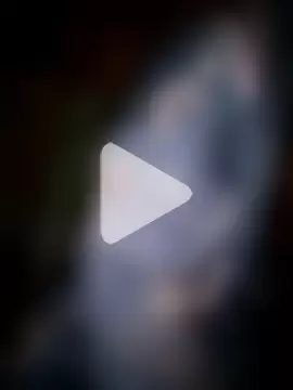 Miciaincalor photo 17