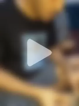 Midnight_Star1 photo 18