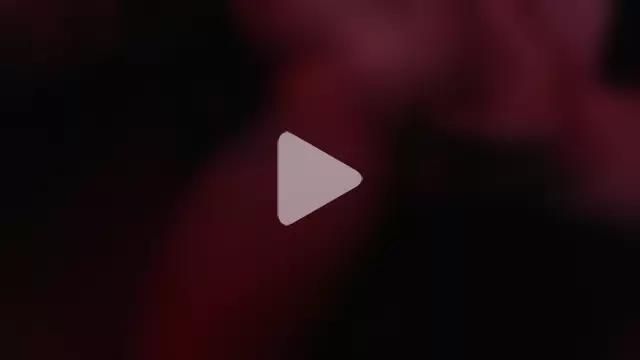 MikeyLevinePH photo 15