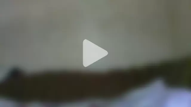 MilaSky5303 photo 26