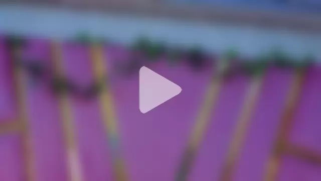 MilleyJones photo 24