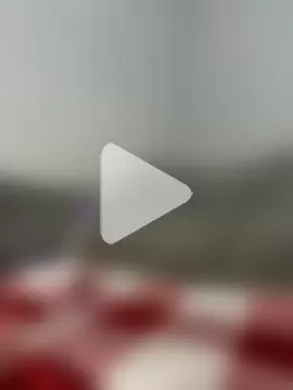 MiloTheName photo 11