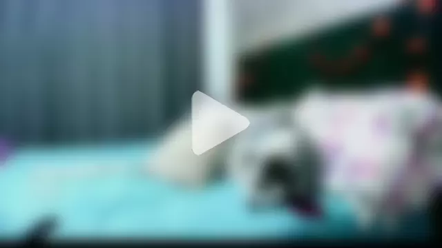 Mimii7 photo 12