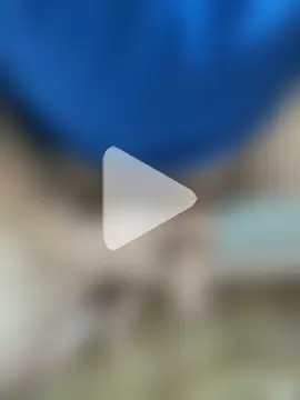 Mindnorthcam2 photo 5