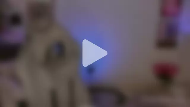 MiroslavaLime photo 5