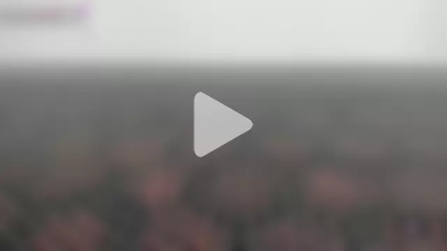 MissCurvyTop photo 7