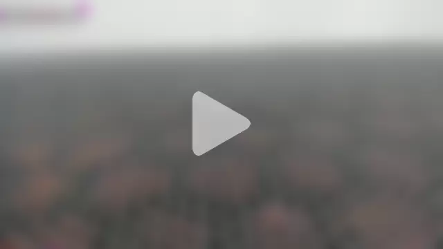 MissCurvyTop photo 9