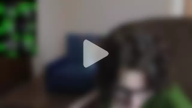 Miss_Amberr photo 26