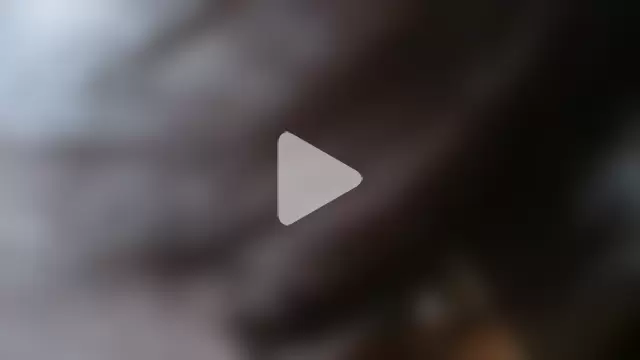 Missforever photo 12