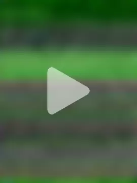 Missgirl0288 photo 14