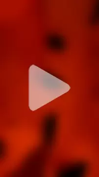 Misspadrona88 photo 29