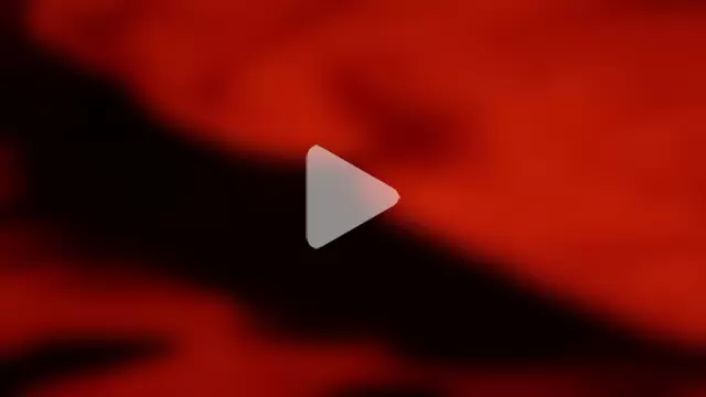 Misspadrona88 photo 26