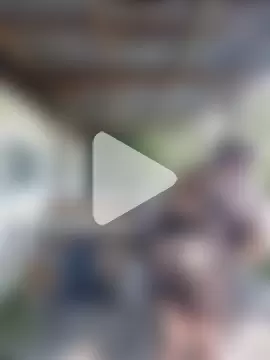 Misspapillon1840 photo 8