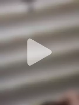 Misspapillon1840 photo 3