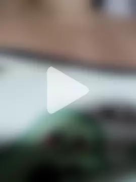 Molly_newman6 photo 30