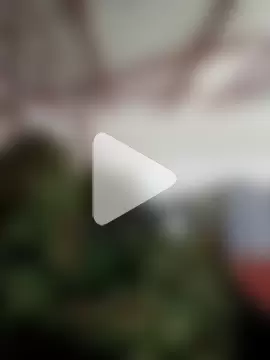 MonasticCanine photo 28