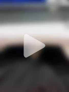 MonasticCanine photo 27