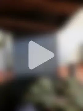 MonasticCanine photo 20