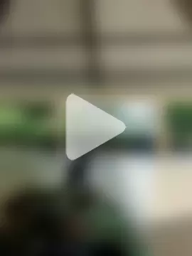 MonasticCanine photo 18