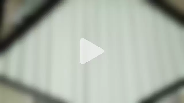 MonetLeitman photo 15